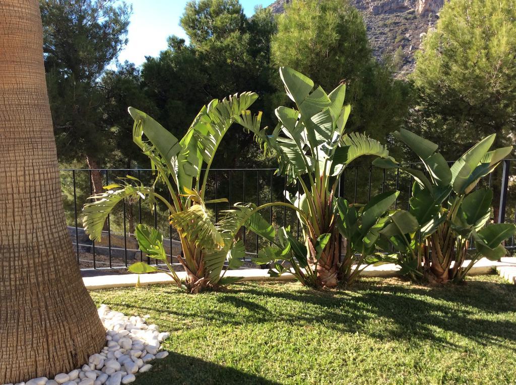 Olivos Holiday Home Altea Pokoj fotografie