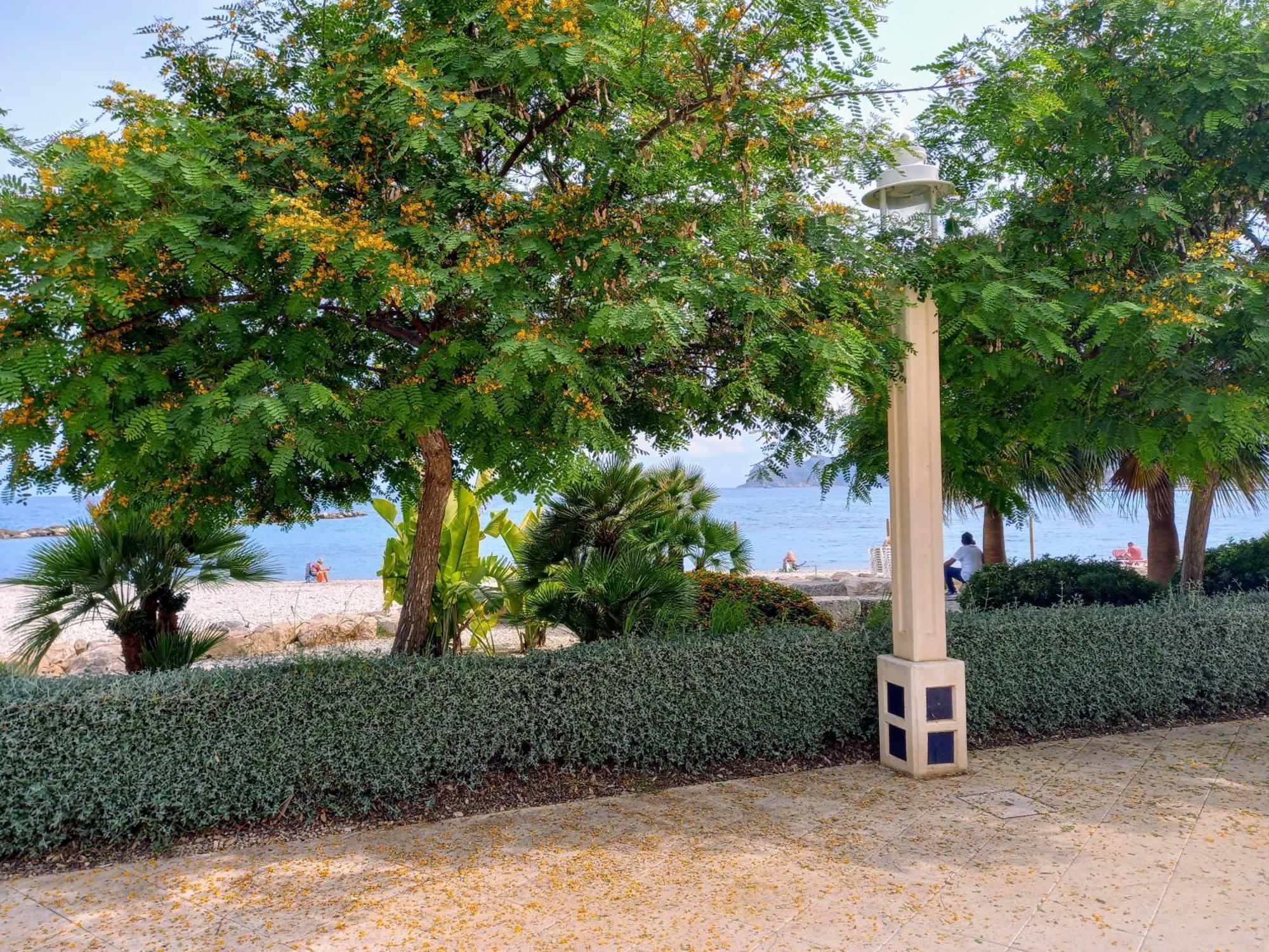 Olivos Holiday Home Altea Exteriér fotografie
